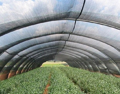 Imagen 9 de 10 de Malla 50% De Sombra Monofilamento 3.7m Ancho X 1m Lineal