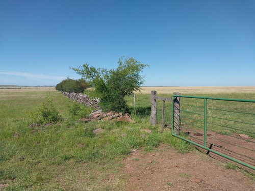 Excelente Estancia Ganadera 2881 Hectareas