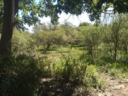 Imagen 8 de 10 de Lotes Traslasierras Mina Clavero Las Rosas Esc/serv/aptocred