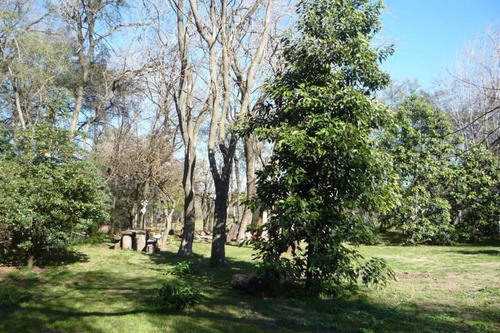 Imagen 2 de 14 de 2080 Metros De Lote