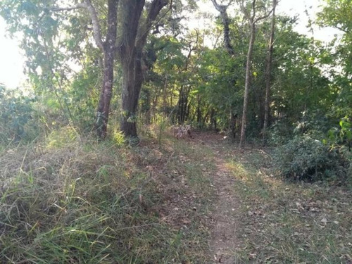 Imagem 4 de 5 de Terreno Á Venda No Bairro Piraporão, Piedade - Sp - Te00143 - 68015888