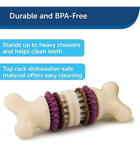 Petsafe Busy Buddy Bristle Bone - Juguete Para Sujetar Golos
