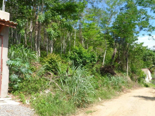 Imagem 1 de 7 de Terreno À Venda, 465 M² Por R$ 120.000,00 - Engenho Do Mato - Niterói/rj - Te4873
