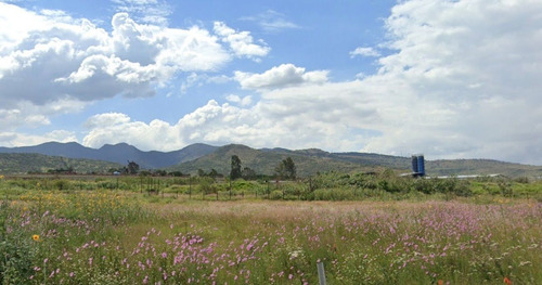 Venta De Terreno Teoloyucan Ht439