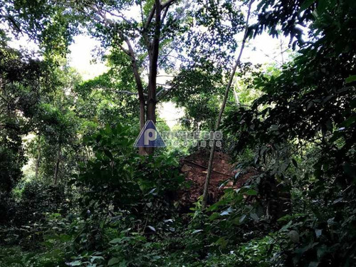 Imagem 12 de 17 de Terreno No Cosme Velho - 12131