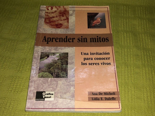 Aprender Sin Mitos - Ana De Micheli - Gráfica Yanel