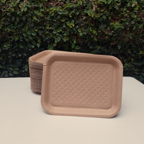 Platos Charola Carton Bandeja Desechable 100 Pzas 23x18 Cm Color Caqui