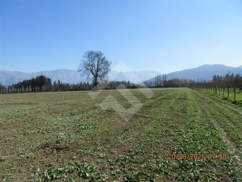 Imagen 3 de 27 de Parcela Agrícola En Venta En Paine