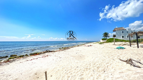 Puerto Morelos: Vive O Invierte En Un Lote Único Frente Al Mar