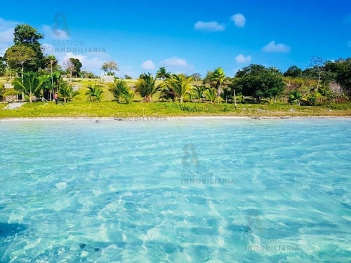 Imagen 1 de 8 de Terreno En Venta En Bacalar, Quintana Roo. Ctv139.