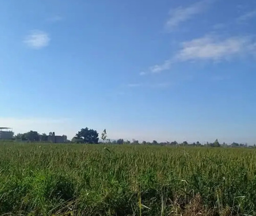 Se Venden 10 Hectáreas Irapuato Gto
