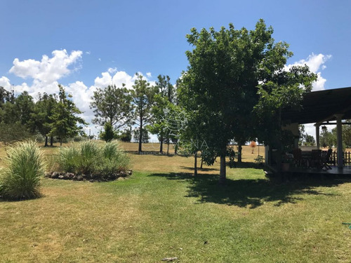 Imagen 9 de 27 de Chacra Muy Cerca De Ruta 104 Y Camino Egusquiza, Casa Y Piscina. Consulte!!!! - La Barra Camino Eguzquiza
