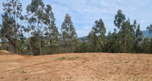 Vendo Parcelas A 20 Kms. Aproximadamente De Peralillo