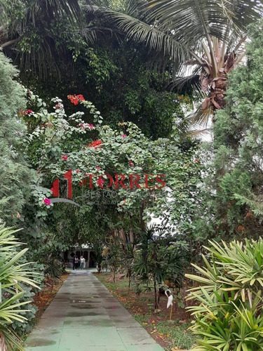 Chácara Para Venda Em Vila São José Taubaté-sp - 290