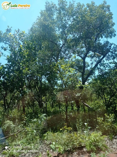 Imagem 6 de 15 de Fazenda À Venda Em Grajaú - Ma - 11.000 Hectares (dupla Aptidão) - 2143