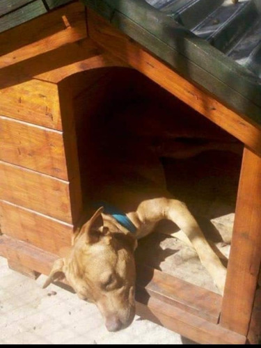 Imagen 2 de 5 de Hotel Canino Casa Quinta