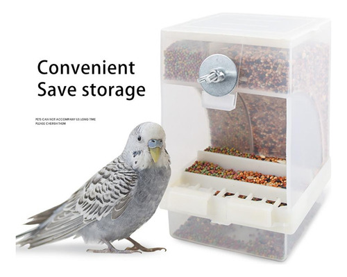 Comedero Para Pájaros Transparente Y Automático Para Semilla