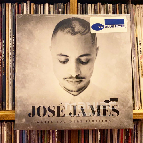 Jose James While You Were Sleeping Edicion 2 Vinilos