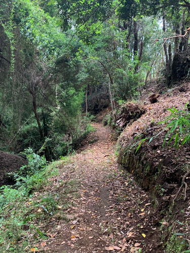 Venta Terreno