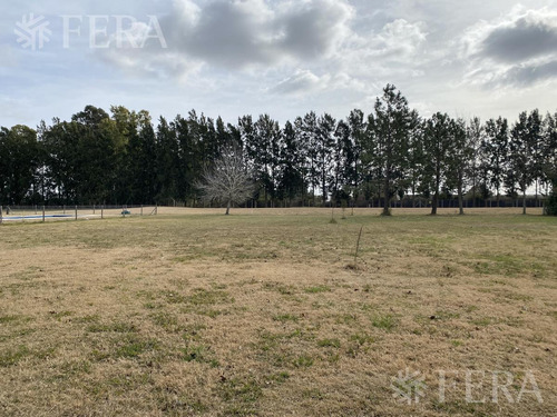 Imagen 1 de 7 de Venta De Terreno En Club Miralagos 2 (28337)