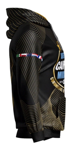Imagen 4 de 4 de Buzo Hoodie Argentina Mundial Mod 8 Irarte
