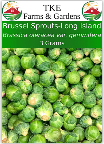 Tke Farms - Semillas De Brote De Bruselas Para Plantar, Long