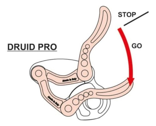 Camp Druid Pro Descensor