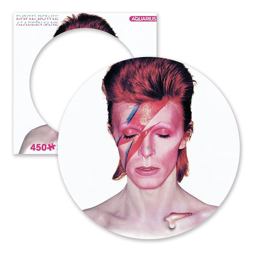 Aquarius David Bowie Aladdin - Rompecabezas De Disco Cuerdo.