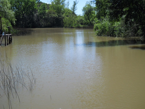 Cabaña En El Delta De Tigre Alquiler