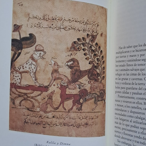 La Disputa Entre Los Animales Y El Hombre Medieval Siruela (Usado)