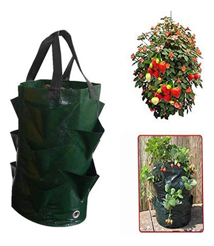 Bolsas De Plástico Para Plantar Fresas De 3 Galones, Bolsa.