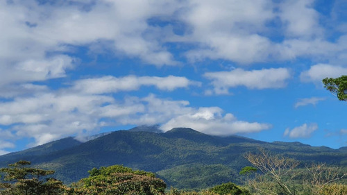 Imagen 5 de 9 de Finca De 31 Hectáreas