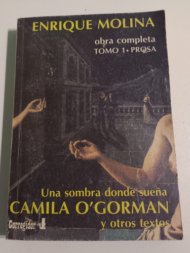 Una Sombra Donde Suela Camila O´gorman Enrique Molina