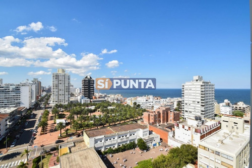 Imagen 8 de 30 de Apartamento A La Venta