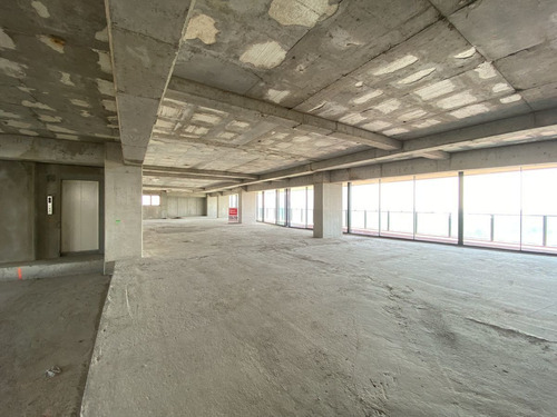 Imagen 6 de 12 de Penthouse 527m2 En Venta Frente Al Bosque De Chapultepec