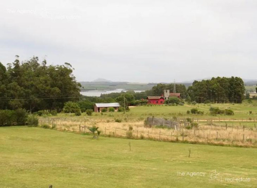 Imagen 7 de 13 de Chacra En Venta Punta Ballena Con Vista A La Laguna Del Sauce