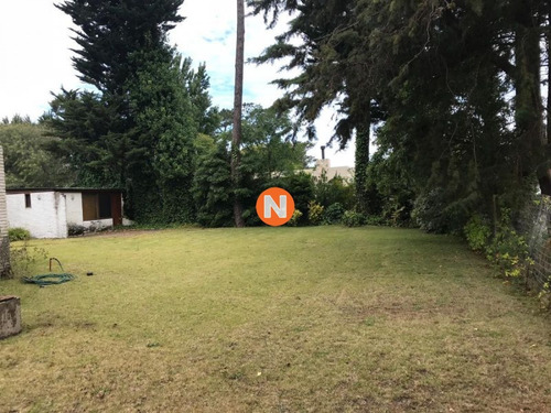 Muy Linda Casa En La Zona De La Mansa- Ref: 217633