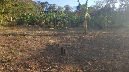 Imagen 10 de 30 de Se Vende Terreno Favorable Con Agua Y Luz Y Casita