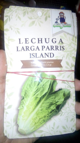 2400 Semillas De Lechuga Larga  