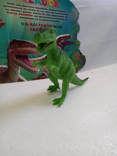 Tiranosaurio Rex Educativo Genérica - Dinosaurios + 2 Libros (Usado)