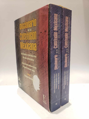 Diccionario De La Constitución Mexicana (2 Tomos)