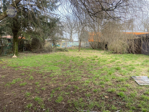 Arrendamos Espaciosa Casa En La Ciudad De Valdivia.