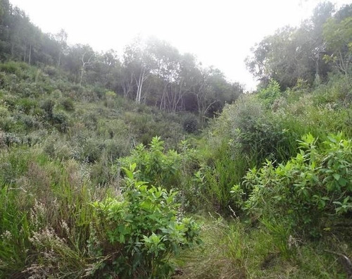 Quinta En Venta En Garzon