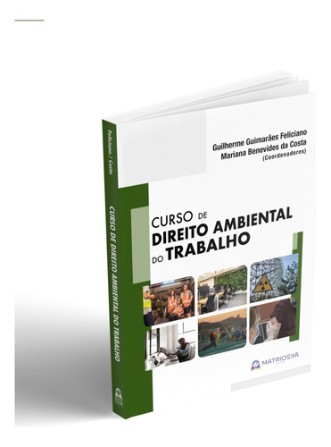 Curso de Direito Ambiental do Trabalho, de Feliciano, Guilherme Guimarães. Matrioska Editora Ltda, capa mole em português, 2021