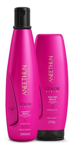 Kit Aneethun Color System  Shampoo E Mascara