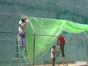 Plástico Uv Invernadero , Paño De 8mts X 20mts , Tricapa