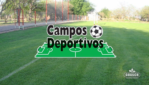 Semillas Cesped Campos Deportivos 25kg Guasch Canchas Futbol