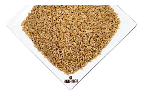 Trigo en Grano 10 y 25 Kg - Agrotienda Senra