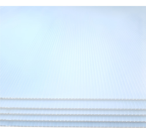 Placa De Corrugado Plástico Blanco 60x80 2.30mm Pack X 12uni