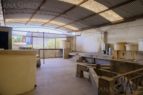 Imagen 3 de 15 de Nave Industrial Con Oficinas - Villa Martelli